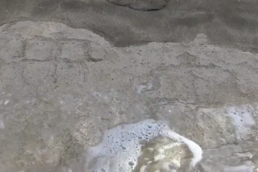 Beam of Sunglight Leads Tourists to Ancient Petroglyphs Hidden on a Hawaiian Beach (Video)