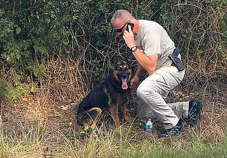 K-9 Kina was found in Arkansas (Sebastian County Sheriff's Office)