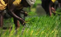 How One Company Used an Enzyme to Turn Food Waste Into a Superfood