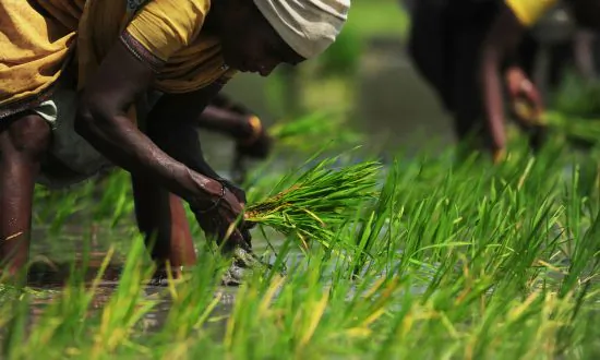 How One Company Used an Enzyme to Turn Food Waste Into a Superfood