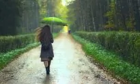 There’s a Surprising Link Between Rain and Soil