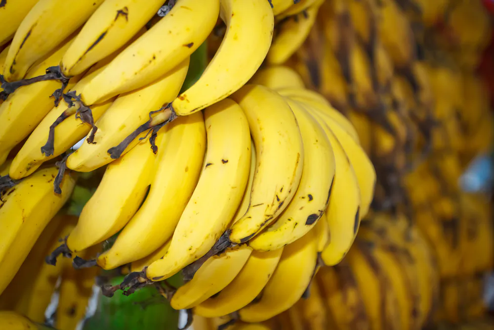 (adisak soifa/Shutterstock)