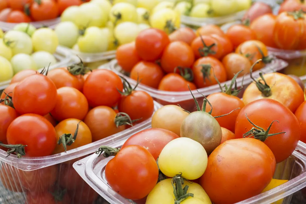 Summer in Iowa means some of the sweetest and juiciest tomatoes in the country. (Crystal Shi/Epoch Times)