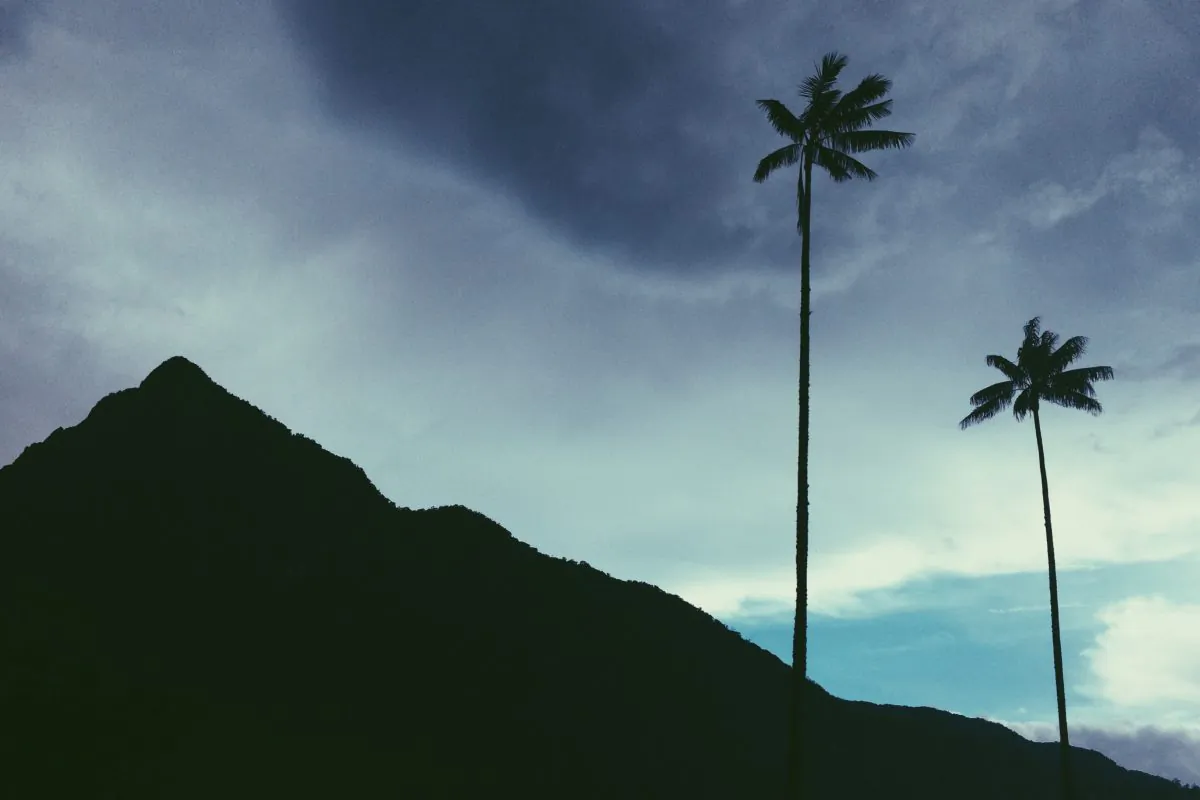 (Deivid Sáenz/Unsplash)