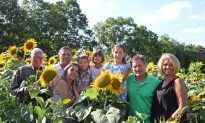 A Family’s Quest for a Healthier Oil Leads to Sunflowers