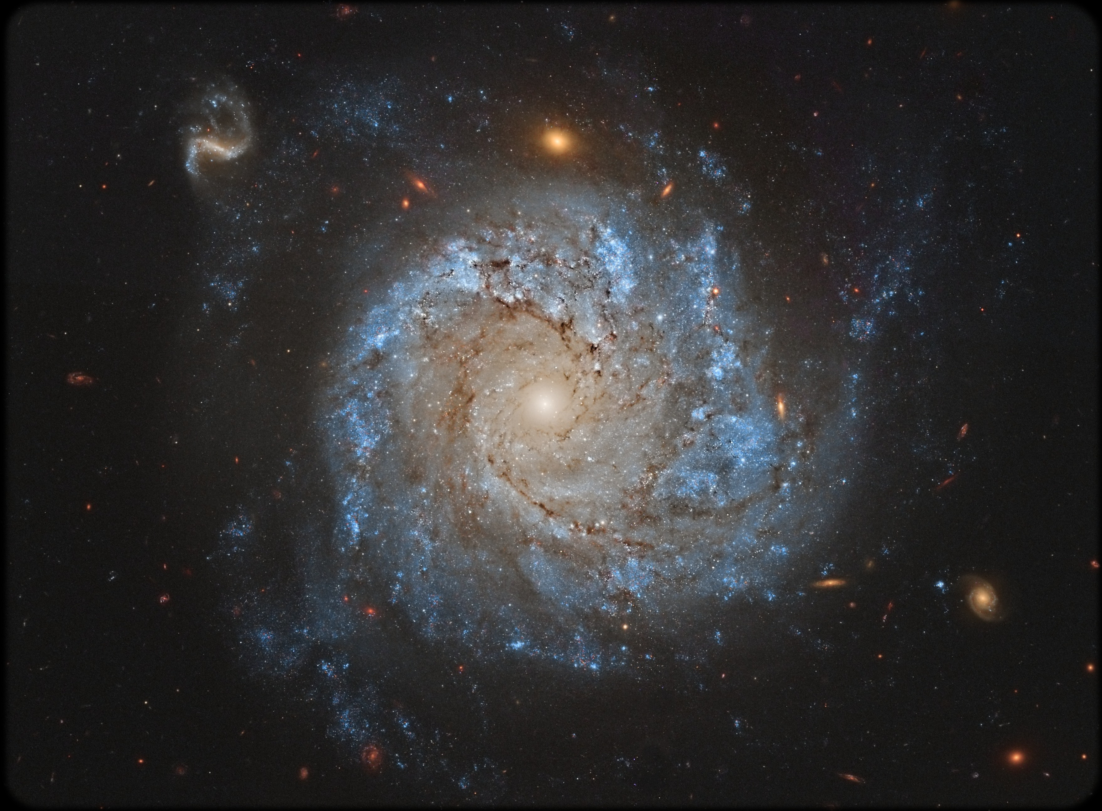A gorgeous spiral galaxy some 100 million light-years distant, NGC 1309 lies on the banks of the River constellation (Eridanus). NGC 1309 spans about 30,000 light-years, making it about one third the size of our larger Milky Way galaxy. Bluish clusters of young stars and dust lanes are seen to trace out NGC 1309's spiral arms as they wind around an older yellowish star population at its core. (Hubble Legacy Archive, ESA, NASA; Processing: Jeff Signorelli)