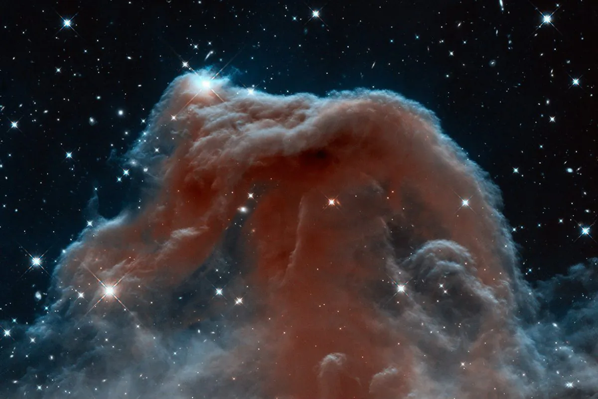 The Horsehead Nebula  (NASA, ESA, and The Hubble Heritage Team/STScI/AURA)