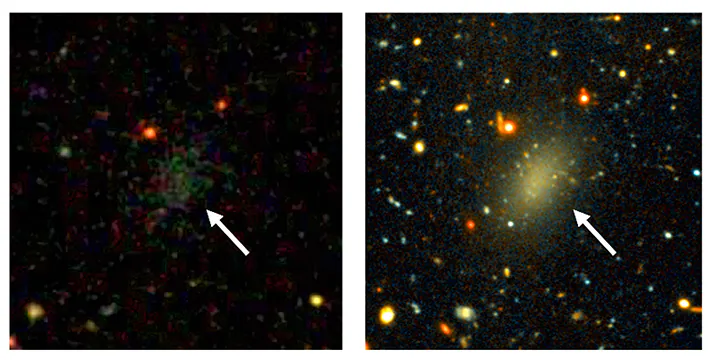 The dark galaxy Dragonfly 44. The image on the left is from the Sloan Digital Sky Survey. Only a faint smudge is visible. The image on the right is a long exposure with the Gemini telescope, revealing a large, elongated object. Dragonfly 44 is very faint for its mass and consists almost entirely of dark matter. (Images by Pieter van Dokkum, Roberto Abraham, Gemini, Sloan Digital Sky Survey)