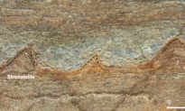 3.7 Billion-Year-Old Fossils Could Be World’s Oldest (Video)