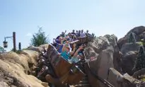 Roller Coasters Can Jostle out Kidney Stones