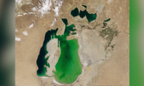 Shocking Satellite Images Show Aral Sea Has Almost Disappeared (Video)