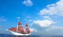 Cruises With a Difference