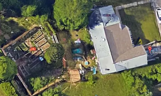600 Marijuana Plants Found Behind Conn. Day Care Center