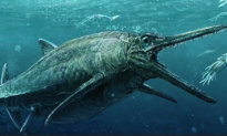 164-Million-Year-Old Fossil of Storr Lochs Monster Revealed in Scotland (Video)
