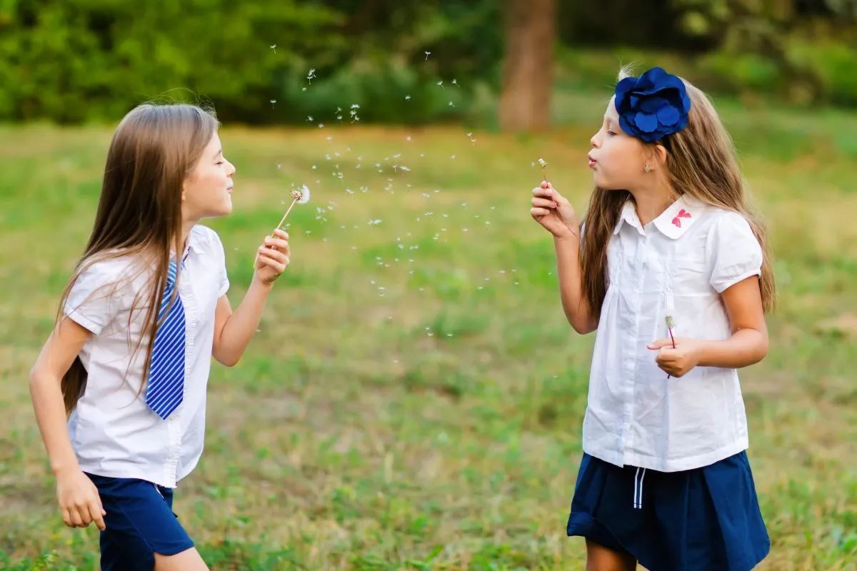 (Anastasiia Markus/Shutterstock)