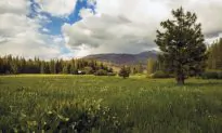 House Natural Resources Subcommittee’s Hearing on Biden’s ‘Efforts to Limit Access to Public Lands’