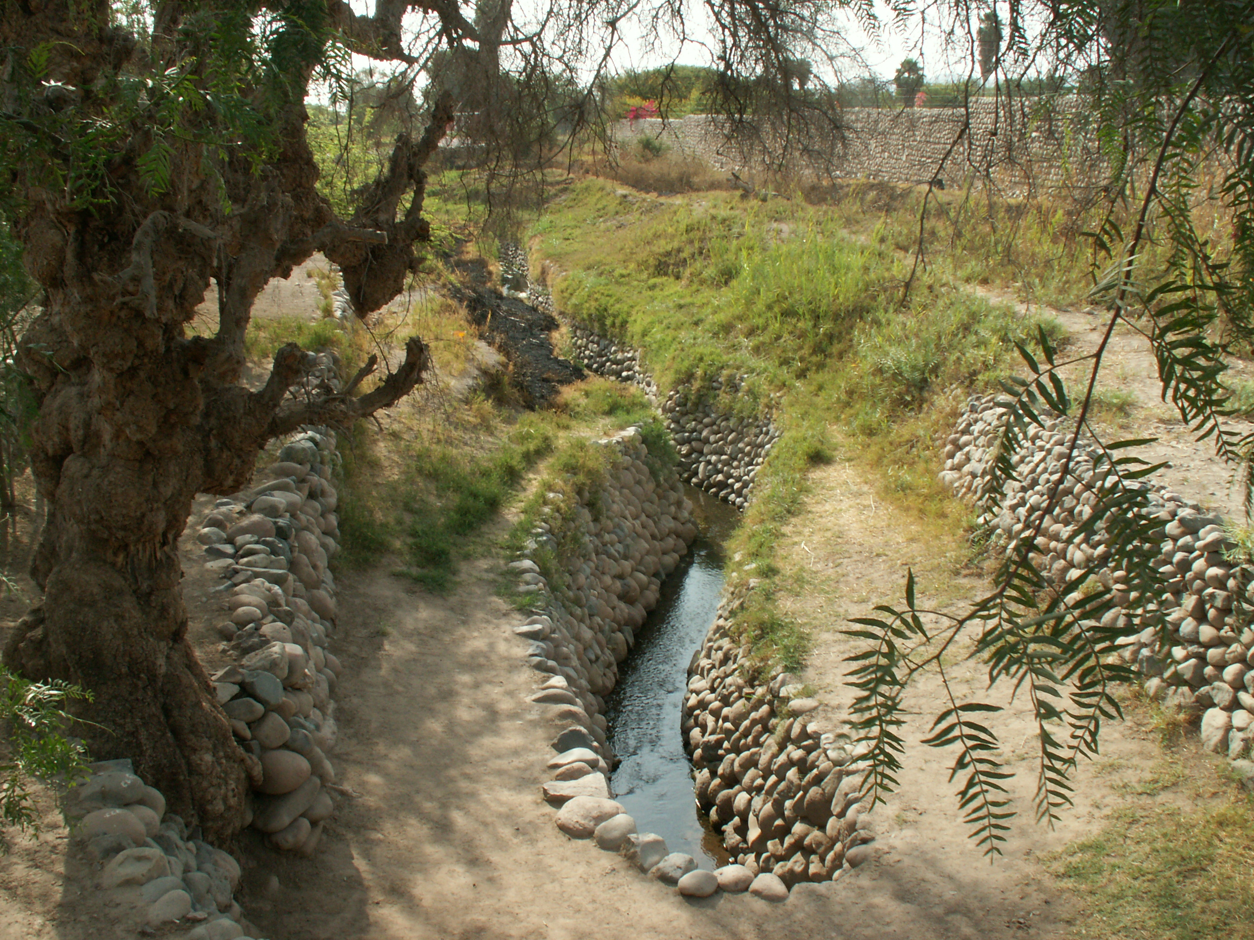 Nazca irrigation canals. ( CCBY)