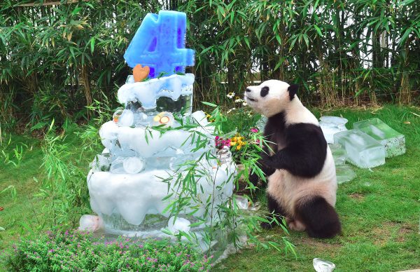Epoch Times Photo