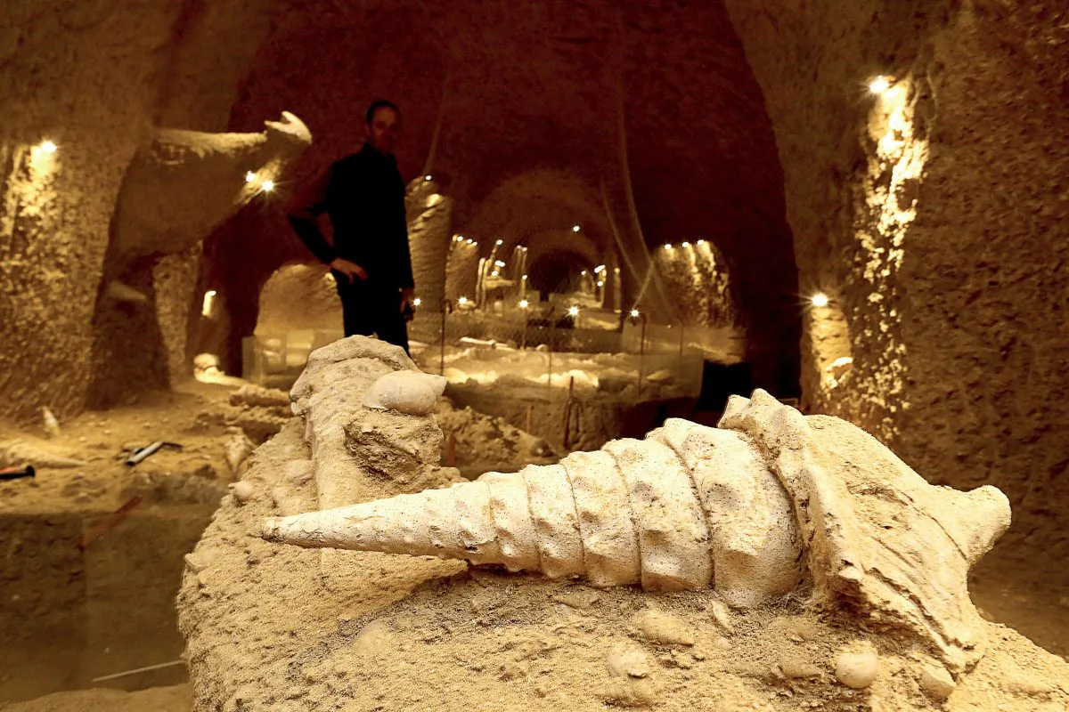 Patrice Legrand, a winegrower and amateur paleontologist stands in the Cave aux Coquillages (The seashells cave) in Fleury-la-Riviere, an underground fossil site with thousands of seashells that populated this territory 45 million years ago. (FRANCOIS NASCIMBENI/AFP/Getty Images)