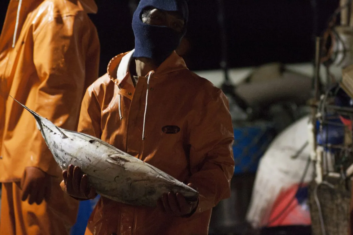 A man unloads fish from the U.S. fishing vessel, the Sea Dragon, at Pier 38 in Honolulu on March 23, 2016. Americans buying Hawaiian seafood are almost certainly eating fish caught by foreign workers hired through a U.S. government loophole that allows them jobs but exempts them from most basic workplace protections. They account for nearly all the crew in a fleet of about 140 ships. (AP Photo/Caleb Jones)