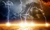 Thunder God Vine Treats Cancer and Joint Pain, but at a High Price