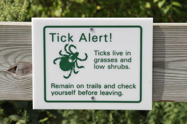 (Kyle Besler/Shutterstock)