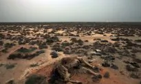 ‘We Are Thirsty’ Say Tunisians as Drought Creates Tensions