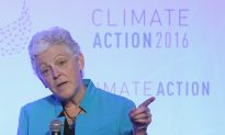 Judges Must Understand: Climate Rules Are Irrational