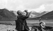 Film Review: Pema Tseden’s ‘Tharlo’