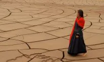 Film Review: ‘The Two Horses of Genghis Khan’