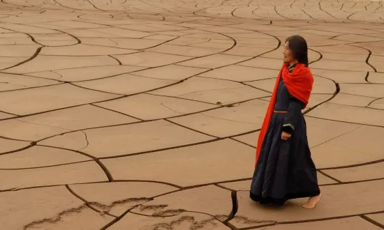 Film Review: ‘The Two Horses of Genghis Khan’