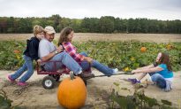 10 Family Fun Ideas to Fall for in October
