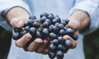 19 Foods Proven to Lower Blood Pressure
