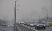Over 90% of World Breathing Bad Air: WHO