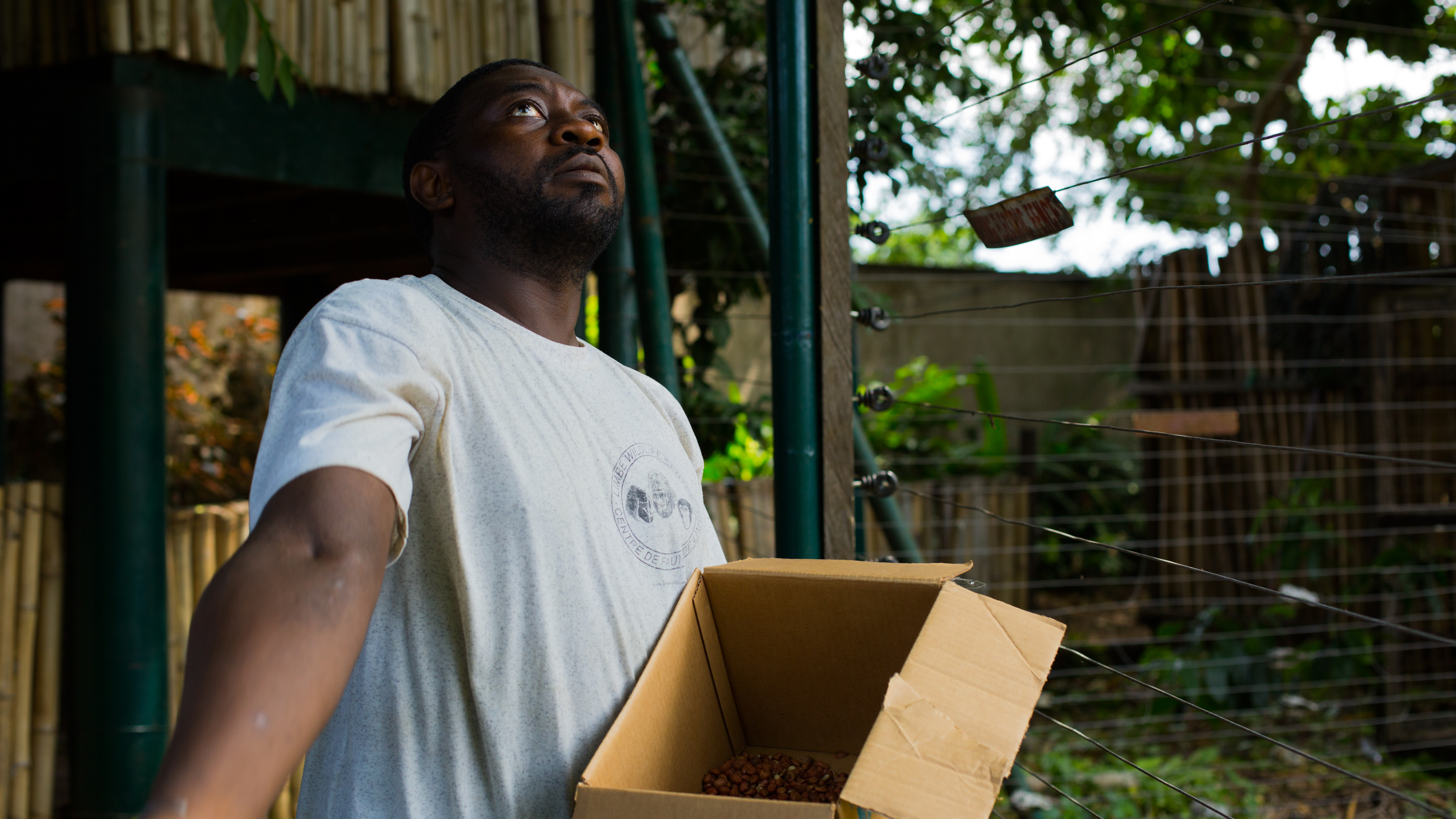 Glenn Motumba, who works to protect the drill, a type of monkey in Cameroon threatened by the expansion of palm oil plantations. (Courtesy of Michael Dorgan)