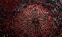 Human Tower