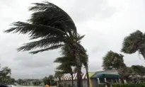 Matt Drudge Suggests Government Is ‘Lying’ About Hurricane Matthew’s Strength