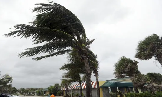 Matt Drudge Suggests Government Is ‘Lying’ About Hurricane Matthew’s Strength