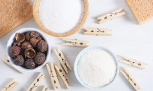 Toxic Detergents vs Soap Nuts a Laundry Soap You Can Eat