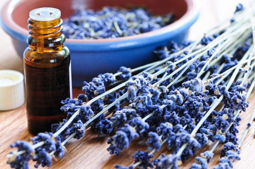 Lavender oil can relieve pain through scent alone. (Elenathewise/iStock)