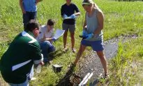 New Device Could Detect GMOs That Have Escaped Into Environment
