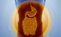 Gut Feeling: How Your Microbiota Affects Your Mood, Sleep, and Stress Levels