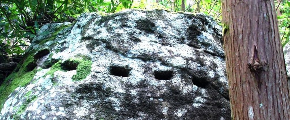 An example of slits made in rocks on the Azores islands. (Courtesy of Antonieta Costa)