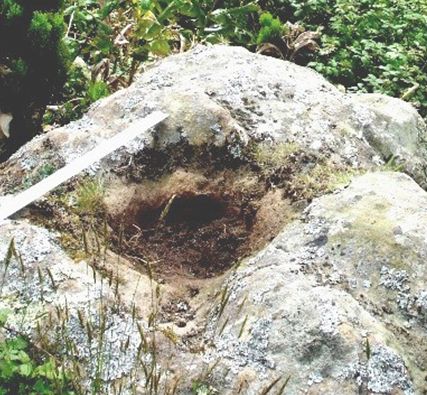 An example of basins found near rocks that look like human faces or animals on the Azores islands. (Courtesy of Antonieta Costa)