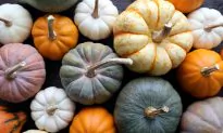 It’s No Trick: Pumpkin Is a Healthy Treat