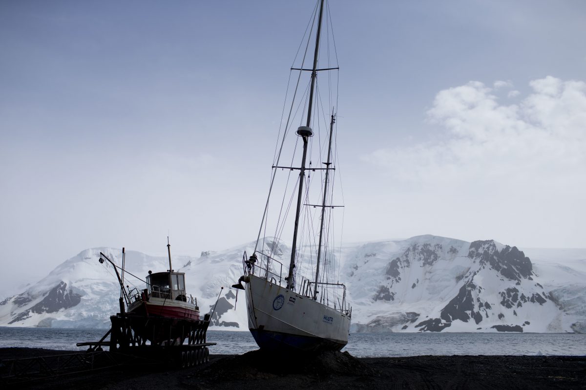 countries-ok-world-s-largest-marine-reserve-in-antarctica