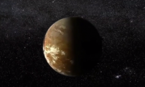 The Star Nearest to Our Sun May Host a Habitable Planet (Video)
