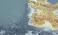 Scientists Find a ‘Jacuzzi of Despair’ in Gulf of Mexico (Video)