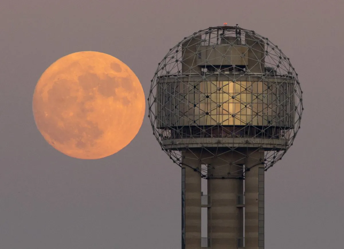 The moon rises behind Reunion Tower in downtown Dallas on the evening of Nov. 13, 2016. (Tom Fox/The Dallas Morning News via AP)