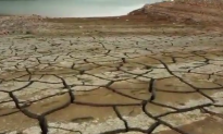 2016 Is ‘Very Likely’ to Be Hottest Year on Record (Video)